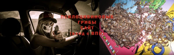 винт Нефтекумск