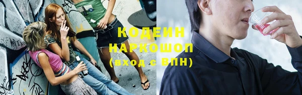 прущий лед Нея