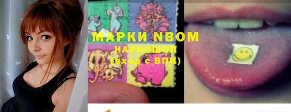 прущий лед Нея