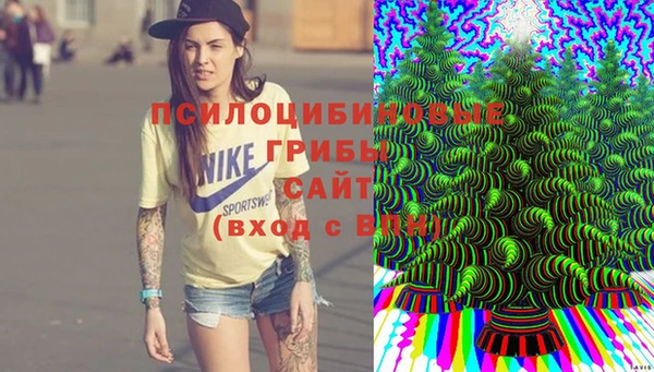 гидра Нефтегорск